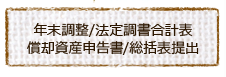 年末調整・法定調書合計表償却資産申告書・総括表提出