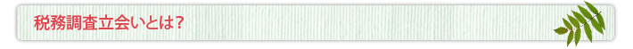 税務調査立会いとは？